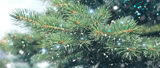 Рождественский зимний фон. рождественская елка со снегом и огнями боке, праздничный фон