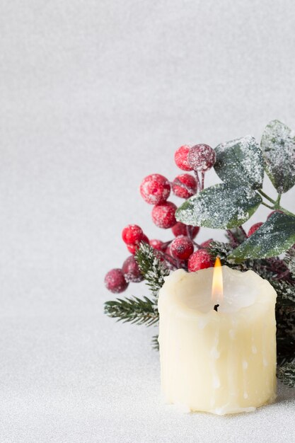 Christmas wreath from red berries, a fur-tree and cones