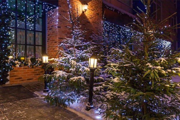 Christmas yard with natural Christmas trees decorated with blue garlands and street lamps near