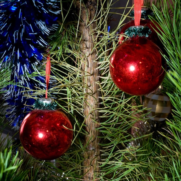 Foto addobbi per l'albero di natale