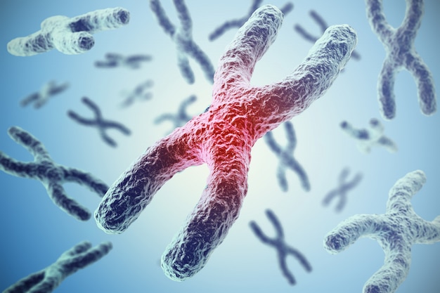 Chromosomes on blue, scientific concept 3d illustration