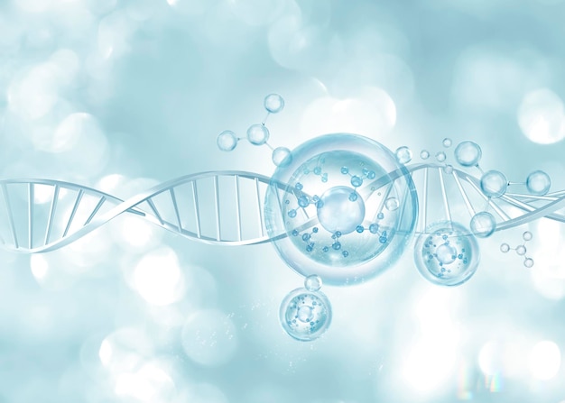 chromosoom en molecuul