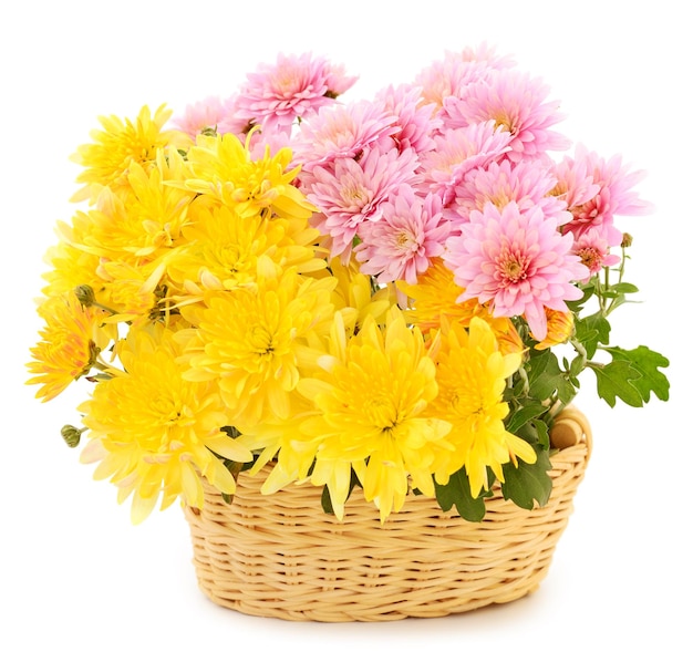 Chrysant bloemen in mand