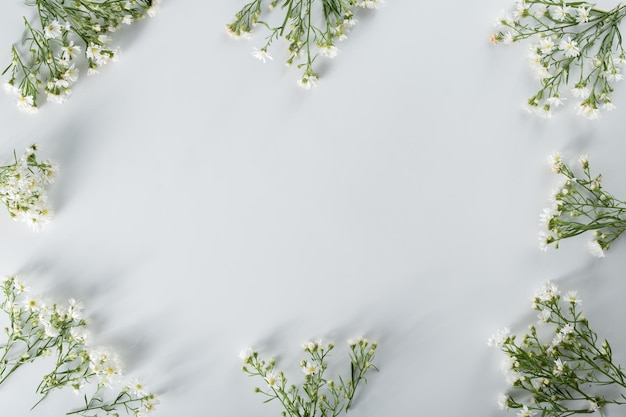 Foto chrysant en snijder bloemen samenstelling patroon en frame gemaakt van verschillende gele of oranje bloemen en groene bladeren op witte achtergrond plat lag bovenaanzicht kopie ruimte lente zomer concept