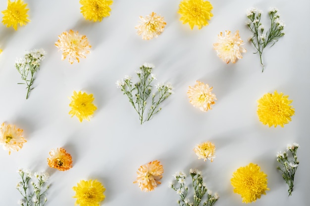 Foto chrysant en snijder bloemen samenstelling patroon en frame gemaakt van verschillende gele of oranje bloemen en groene bladeren op witte achtergrond plat lag bovenaanzicht kopie ruimte lente zomer concept