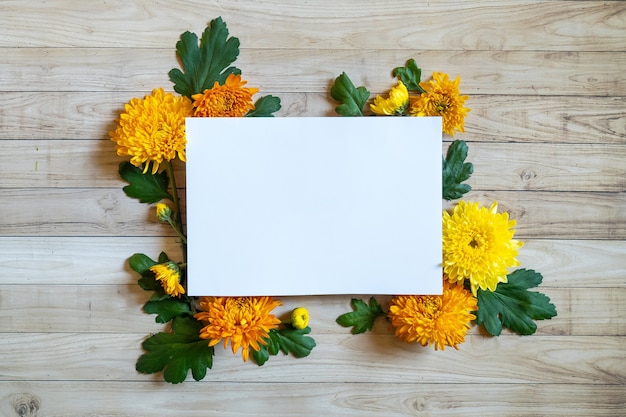 Chrysantemum autumn bouquet copy space blanc paper colored colorful 