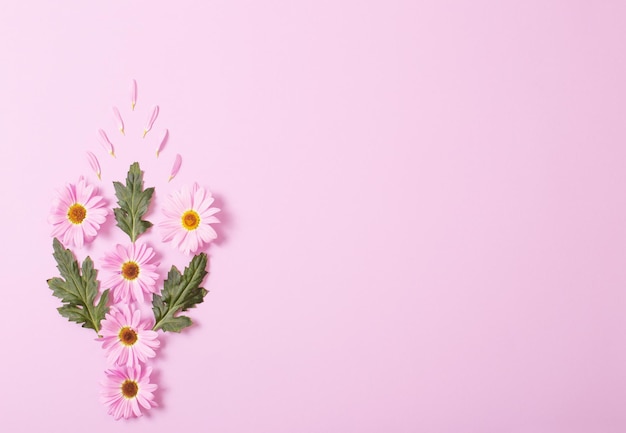 Chrysanten bloemen op roze papieren achtergrond