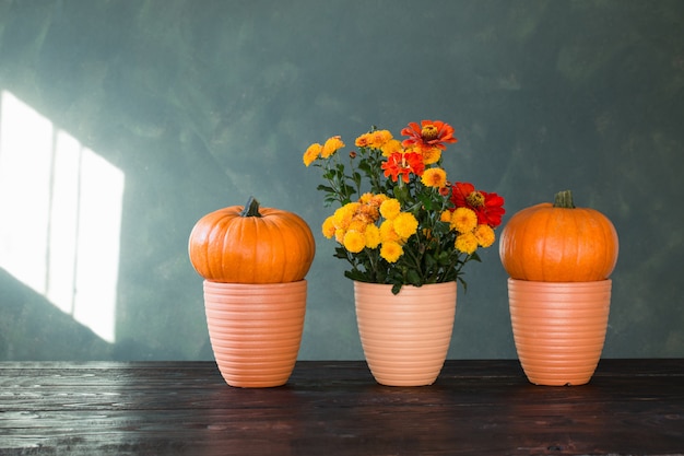 Foto chrysanten en pompoenen op groen