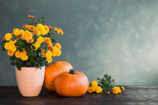 Chrysanten en pompoenen op groene achtergrond