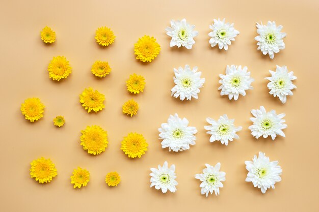 Chrysanthemum bloem op beige oppervlak