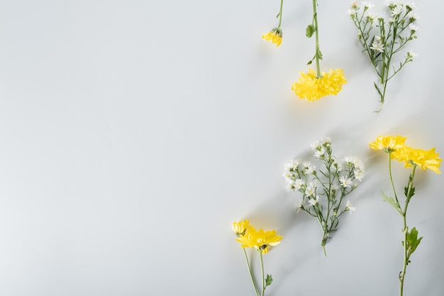 Chrysanthemum and cutter flowers composition Pattern and Frame made of various yellow or orange flowers and green leaves on white background Flat lay top view copy space spring summer concept