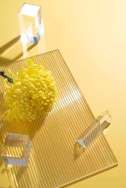 写真 黄色の背景にガラスの大皿に対して菊の花