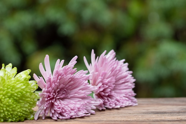 Foto chrysanthemumbloem die op houten vloer met exemplaarruimte legt.