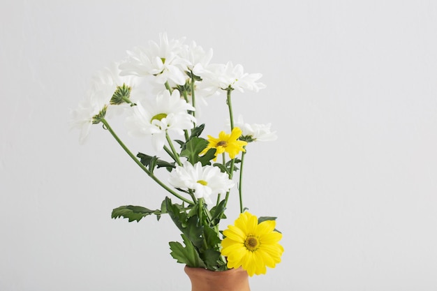 白い背景の上のセラミック花瓶に菊の花