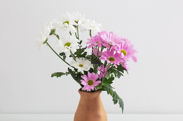 白い背景の上のセラミック花瓶に菊の花
