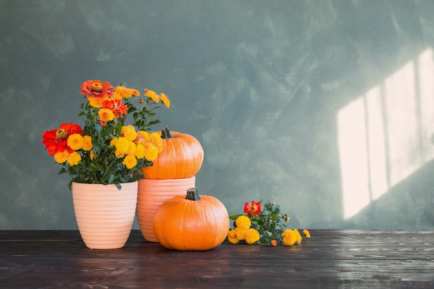 Photo chrysanthemums and pumpkins on green