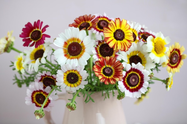 Chrysanthemums Rainbow as a floral background