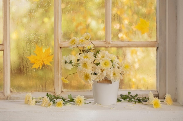 chrysanthemums in vase on windowsill in autumn