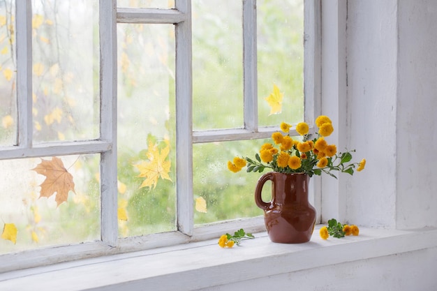 chrysanthemums in vase on windowsill in autumn