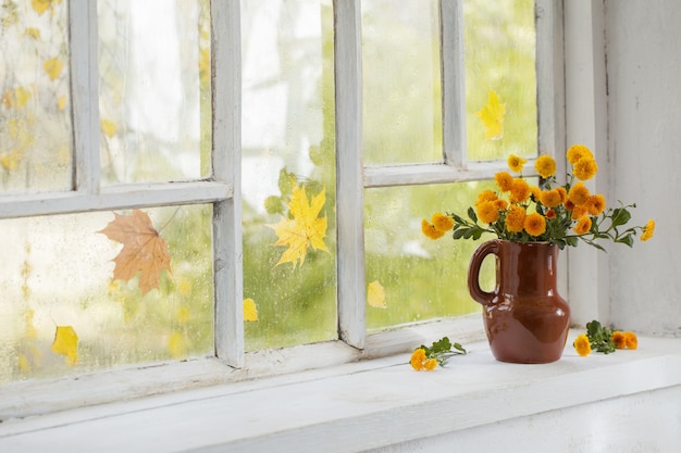 Chrysanthemums in  vase on  windowsill in autumn