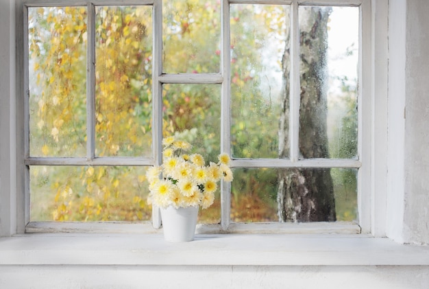 秋の窓辺の花瓶の菊