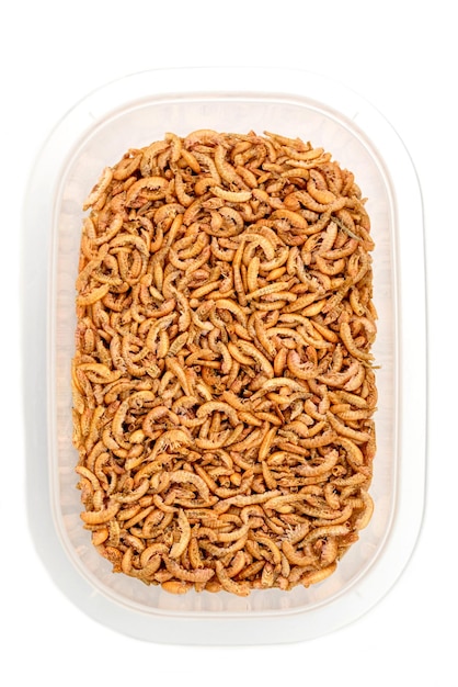 Chubby Dried Gammarus - Siberian Shrimps for Fish