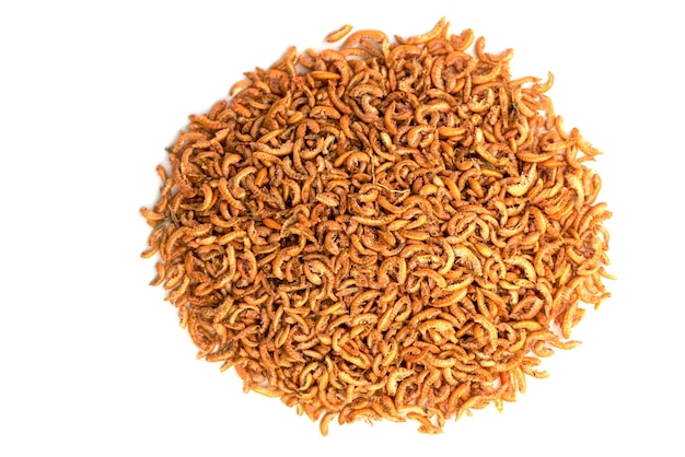 Chubby Dried Gammarus - Siberian Shrimps for Fish