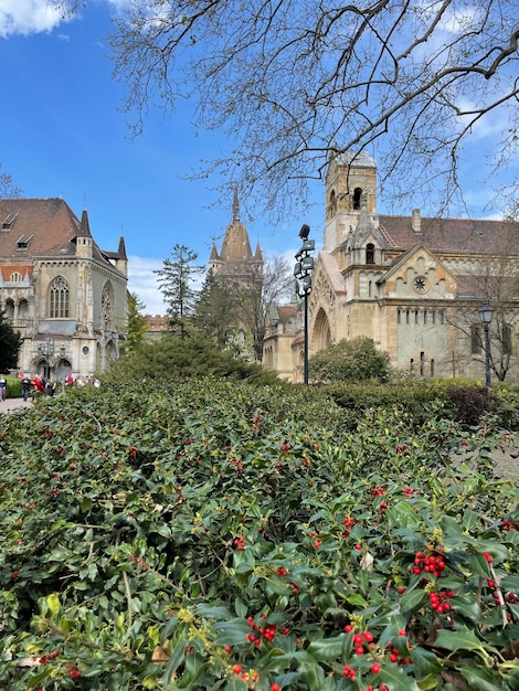 A church in the background is a church with a church on the top.