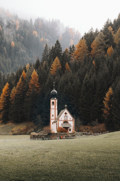 이탈리아의 숲 옆 교회