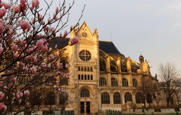 The church of saint eustache is considered a masterpiece of
late gothic architecture paris france