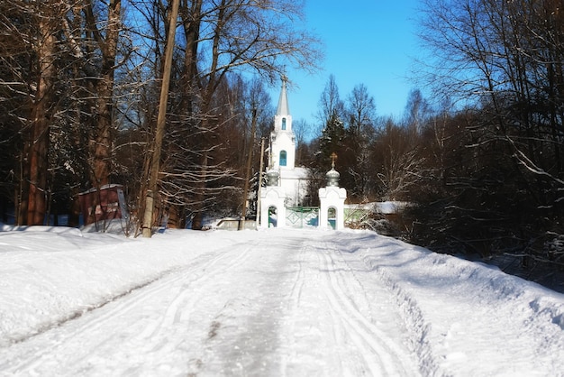 Foto chiesa nella foresta d'inverno