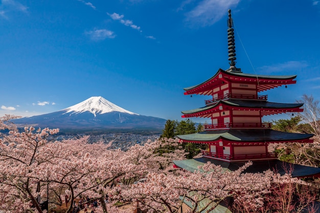 Foto chureito pagoda e mt. fuji in primavera con i fiori di ciliegio a fujiyoshida, in giappone.