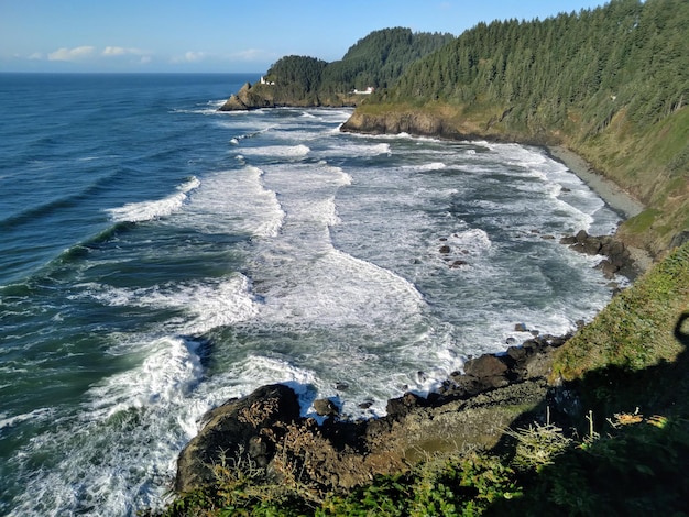 사진 태평양의 물결이 오리건 해안의 헤세타 헤드 (heceta head) 에 부히고 있습니다.