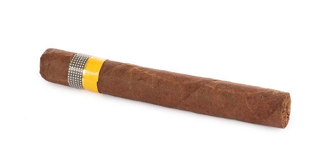 Cigar not smoked on a white background