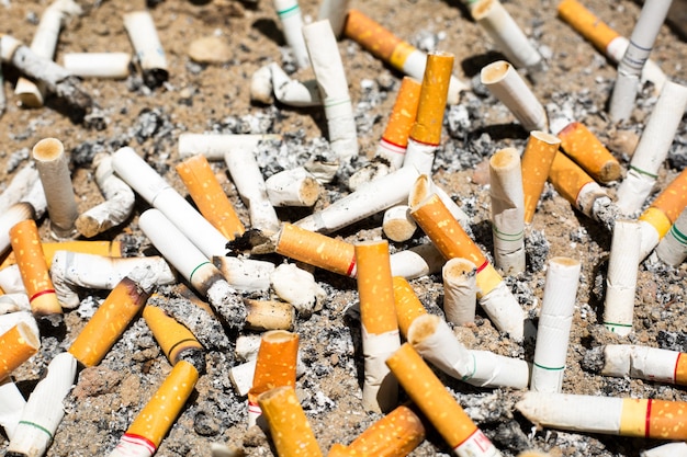 Cigarette stubs on the sand ,butts of cigarettes.