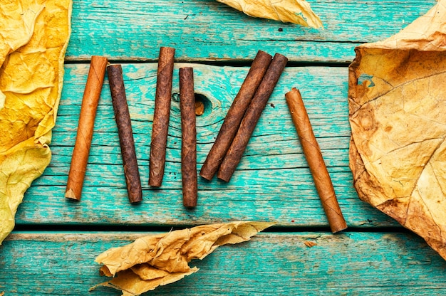 Cigarillos and dry tobacco leaf on wooden background