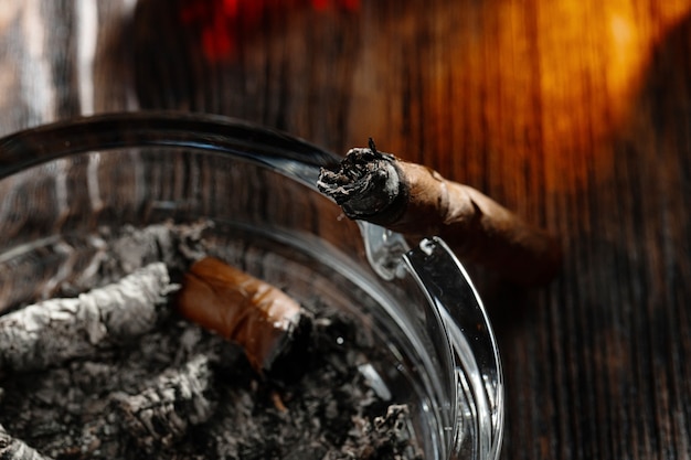 Cigars in an ash tray close up