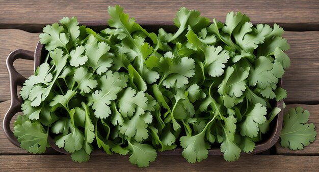 Cilantro is in a container ai generation