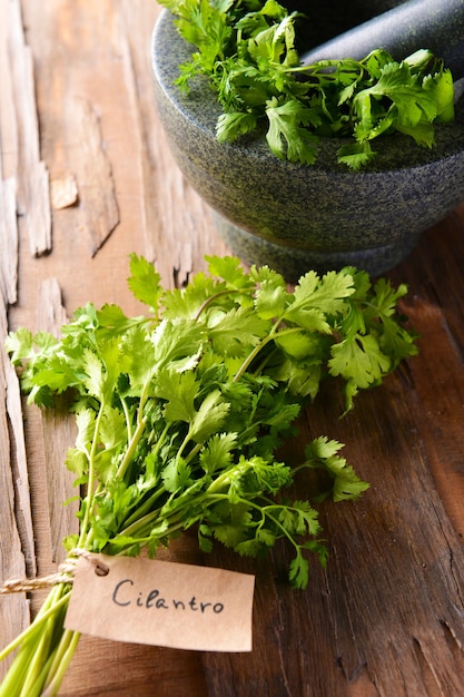 Cilantro on table close-up