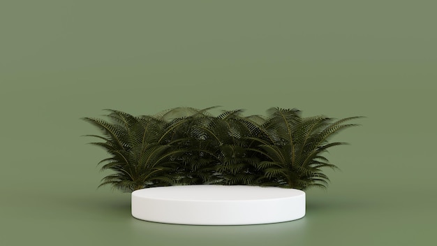 Foto cilinderpodiumvoetstuk met palmboompodium voor productpresentatie 3d-rendering