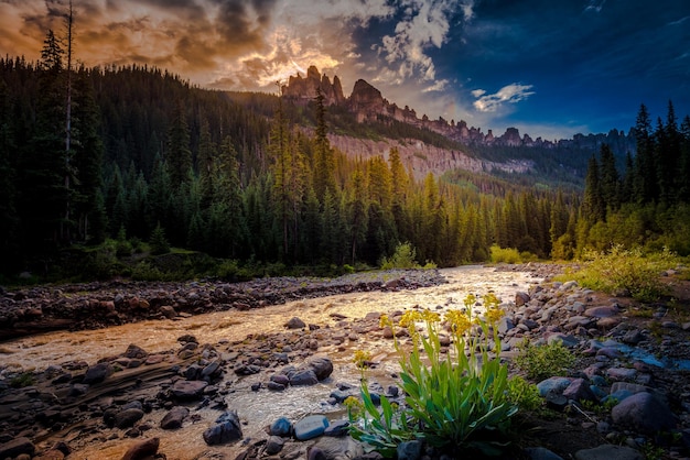 Cimarron River San Juan Mountains