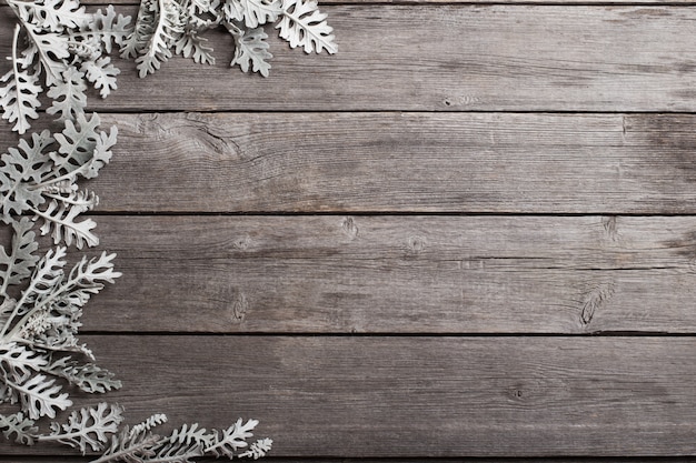 Photo cineraria leaves on wooden background