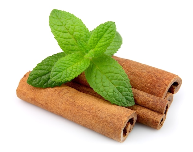 Cinnamon bark and fresh mint on a white background