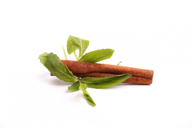 Cinnamon stick and mint isolated on white 