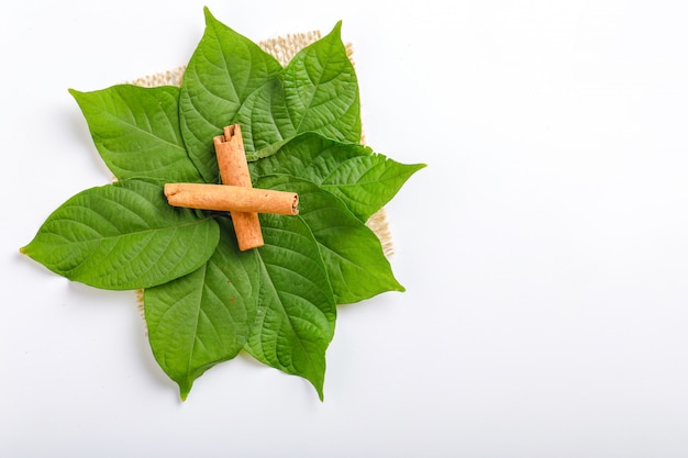 Cinnamon stick on white background 