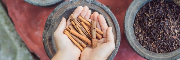 Cinnamon sticks in female hands on a background of spices banner long format