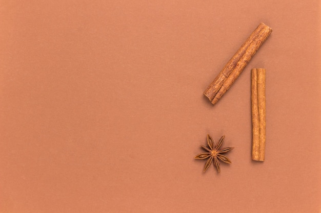 Cinnamon sticks and star anise on brown surface