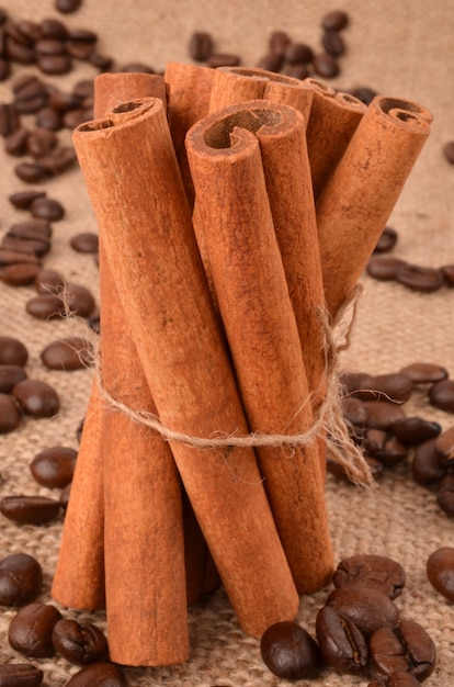 Cinnamon with coffee beans on burlap