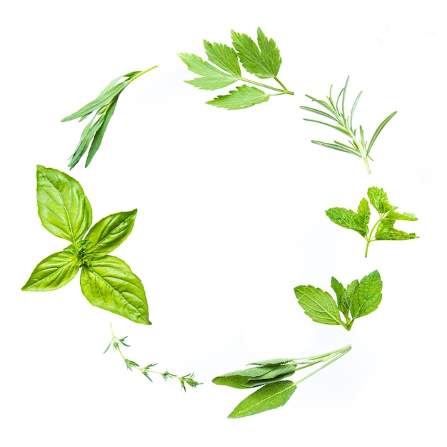 Circle frame made of dainty herb parts isolated on white Basil parsley sage mint rosemary and oregano leaves and twigs spining almost in the air Mockup for design