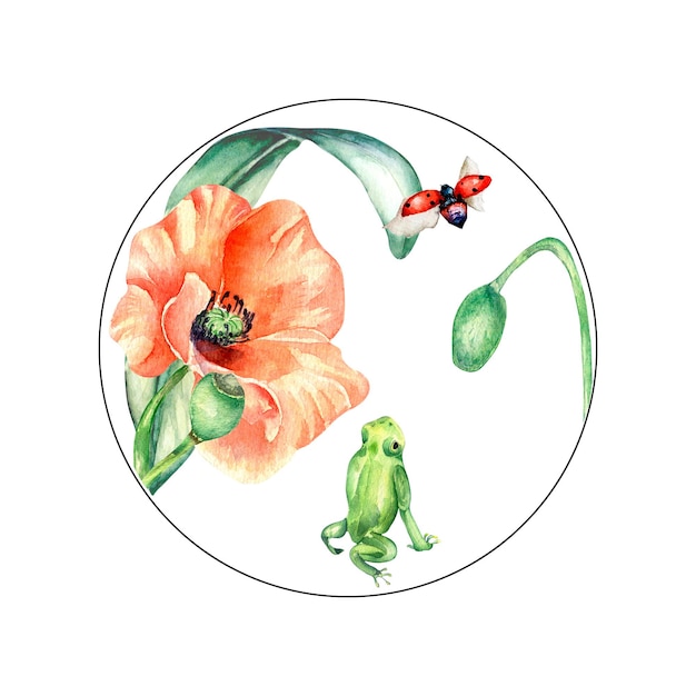 Circle frame with frog ladybug and poppy watercolor illustration on white